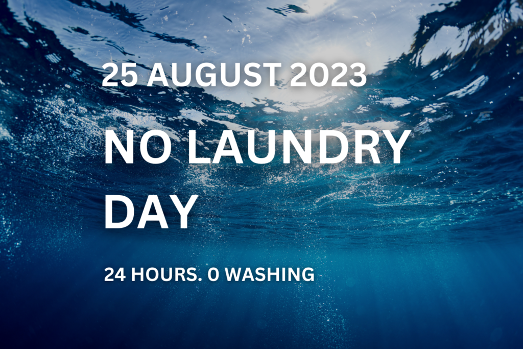 ecostore's No Laundry Day